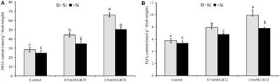 Exogenous Silicon Attenuates Cadmium-Induced Oxidative Stress in Brassica napus L. by Modulating AsA-GSH Pathway and Glyoxalase System